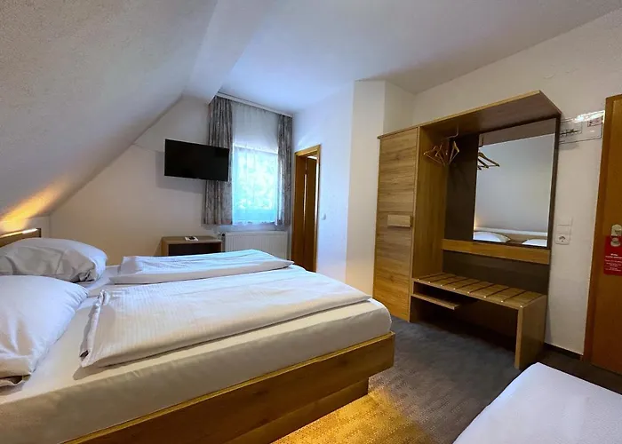 Schaeffer - Steakhouse Andeo Hotell Gemunden am Main